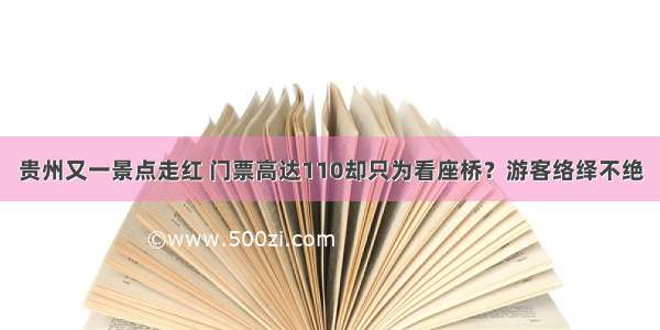 贵州又一景点走红 门票高达110却只为看座桥？游客络绎不绝