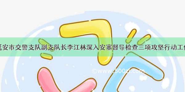 延安市交警支队副支队长李江林深入安塞督导检查三项攻坚行动工作