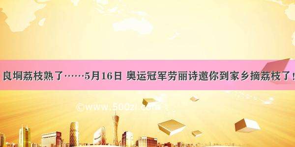 良垌荔枝熟了……5月16日 奥运冠军劳丽诗邀你到家乡摘荔枝了！