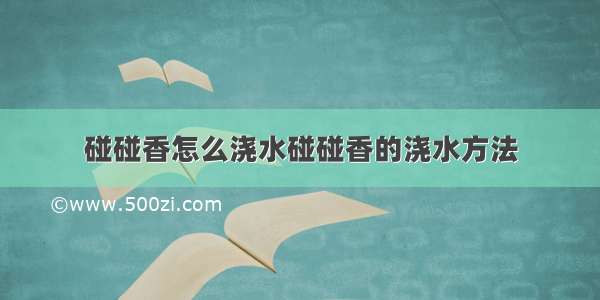 碰碰香怎么浇水碰碰香的浇水方法