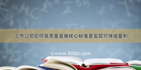 上市公司如何高质量发展核心标准是实现可持续盈利