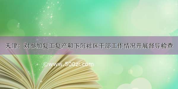 天津：对参加复工复产和下沉社区干部工作情况开展督导检查