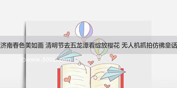 济南春色美如画 清明节去五龙潭看绽放樱花 无人机抓拍仿佛童话