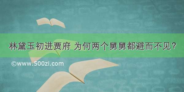 林黛玉初进贾府 为何两个舅舅都避而不见？