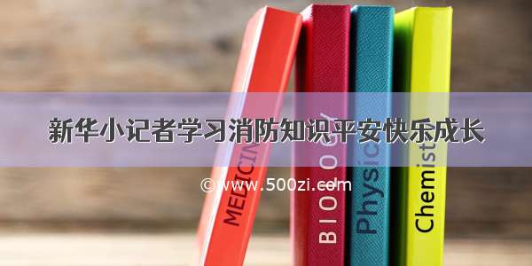 新华小记者学习消防知识平安快乐成长