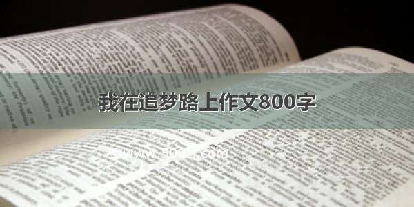 我在追梦路上作文800字