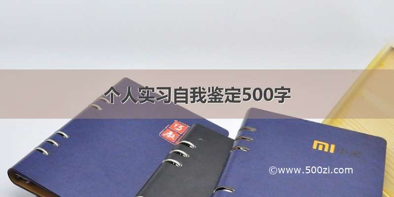 个人实习自我鉴定500字