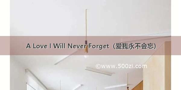 A Love I Will Never Forget（爱我永不会忘）