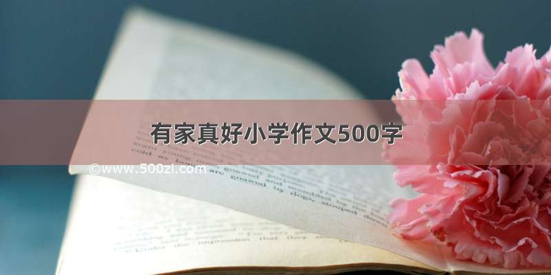 有家真好小学作文500字