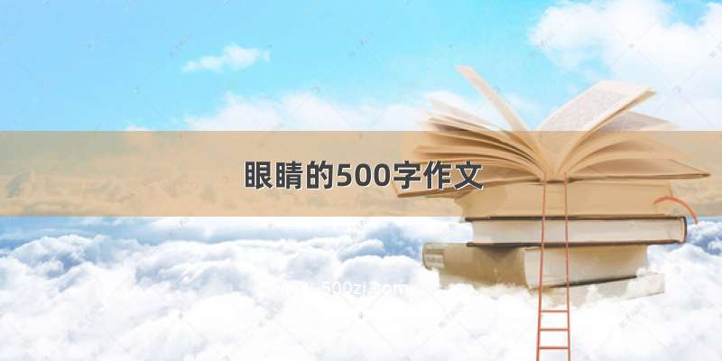 眼睛的500字作文