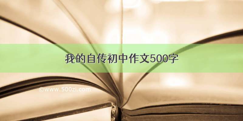 我的自传初中作文500字