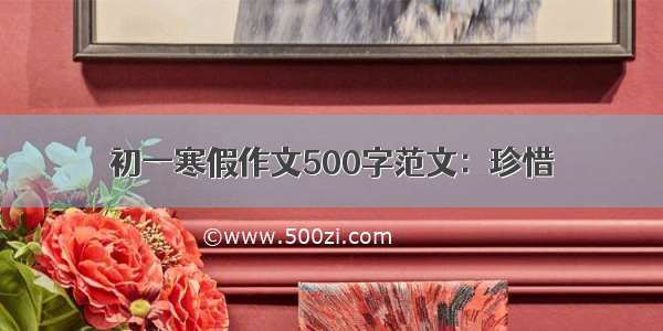 初一寒假作文500字范文：珍惜