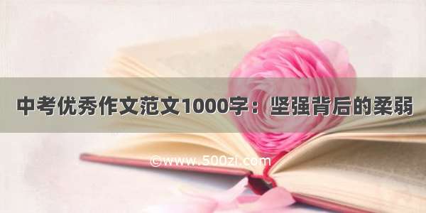 中考优秀作文范文1000字：坚强背后的柔弱