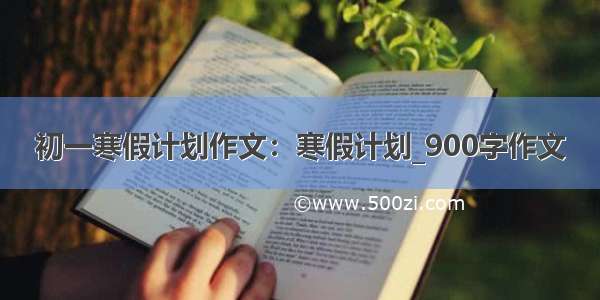 初一寒假计划作文：寒假计划_900字作文