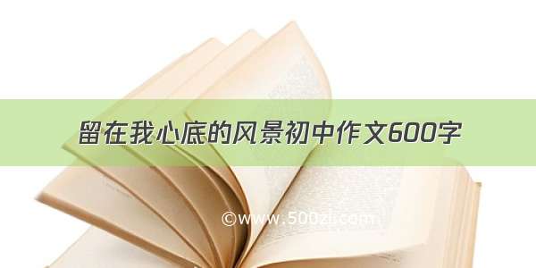 留在我心底的风景初中作文600字