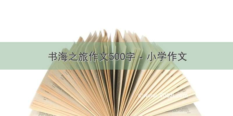 书海之旅作文500字 - 小学作文