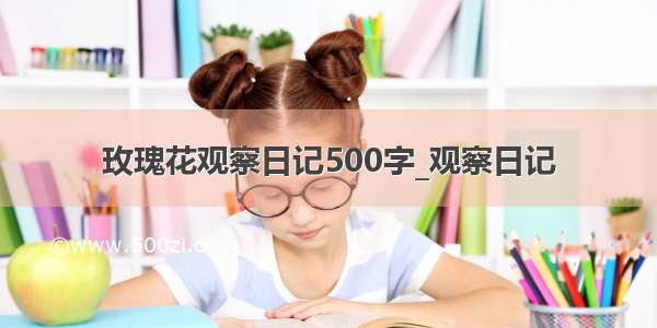 玫瑰花观察日记500字_观察日记