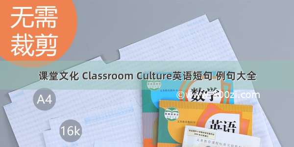 课堂文化 Classroom Culture英语短句 例句大全