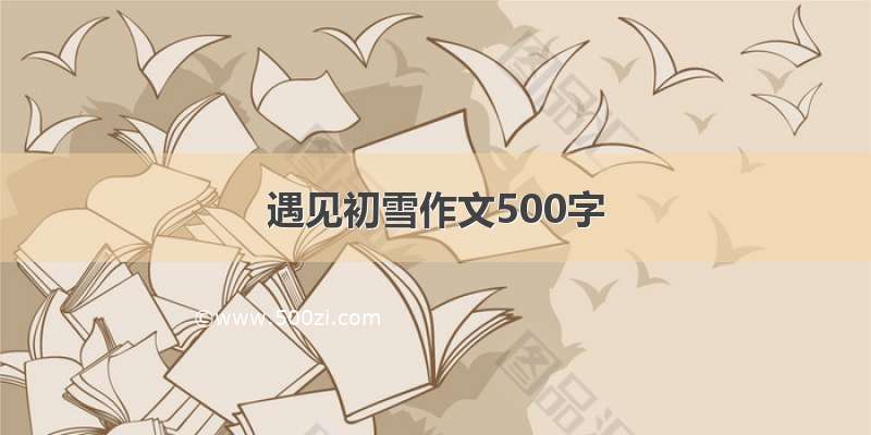 遇见初雪作文500字