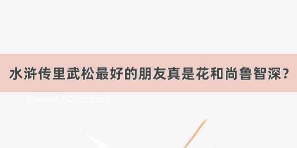 水浒传里武松最好的朋友真是花和尚鲁智深？