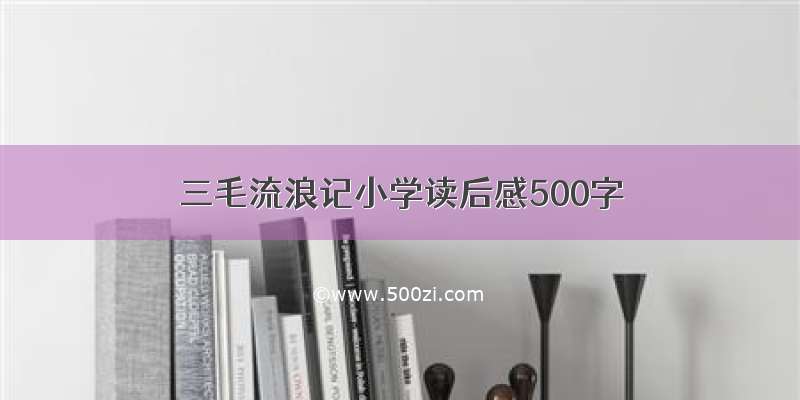 三毛流浪记小学读后感500字