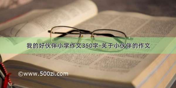 我的好伙伴小学作文350字-关于小伙伴的作文