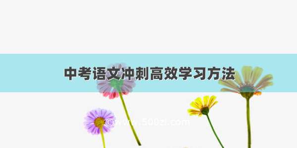 中考语文冲刺高效学习方法