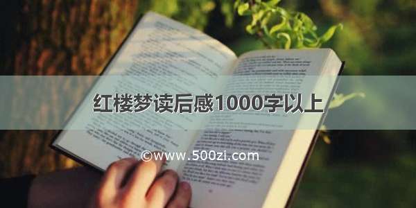 红楼梦读后感1000字以上