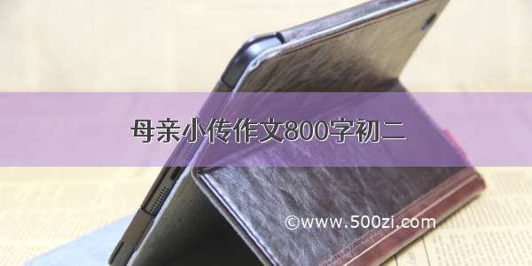 母亲小传作文800字初二