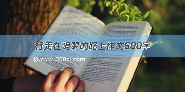 行走在追梦的路上作文800字