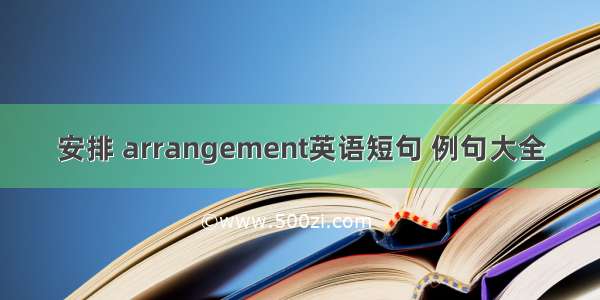 安排 arrangement英语短句 例句大全