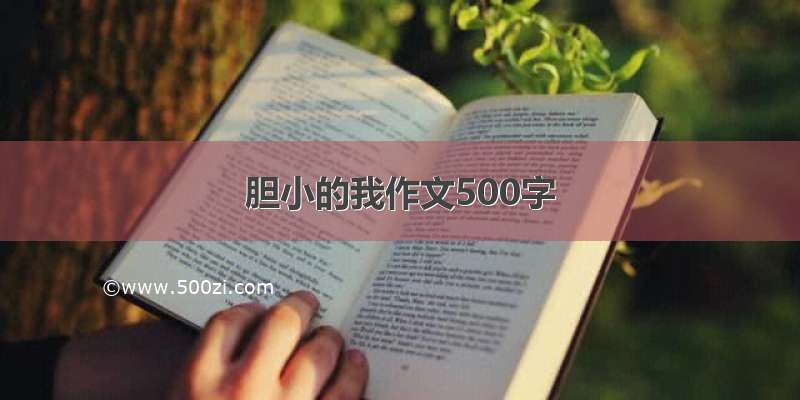 胆小的我作文500字