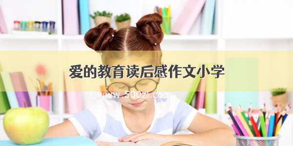 爱的教育读后感作文小学