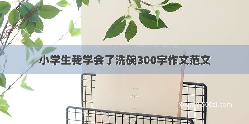 小学生我学会了洗碗300字作文范文