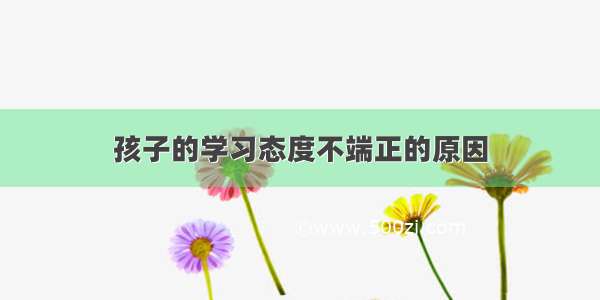 孩子的学习态度不端正的原因