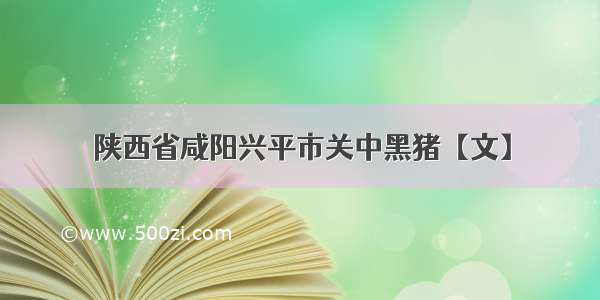 陕西省咸阳兴平市关中黑猪【文】