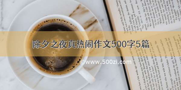 除夕之夜真热闹作文500字5篇