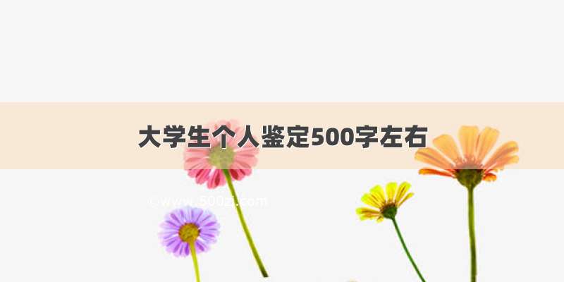 大学生个人鉴定500字左右