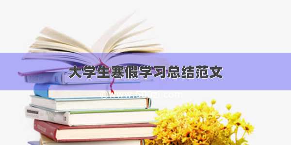 大学生寒假学习总结范文