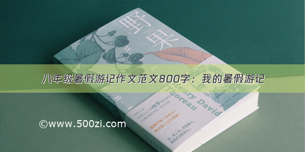 八年级暑假游记作文范文800字：我的暑假游记