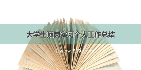 大学生顶岗实习个人工作总结