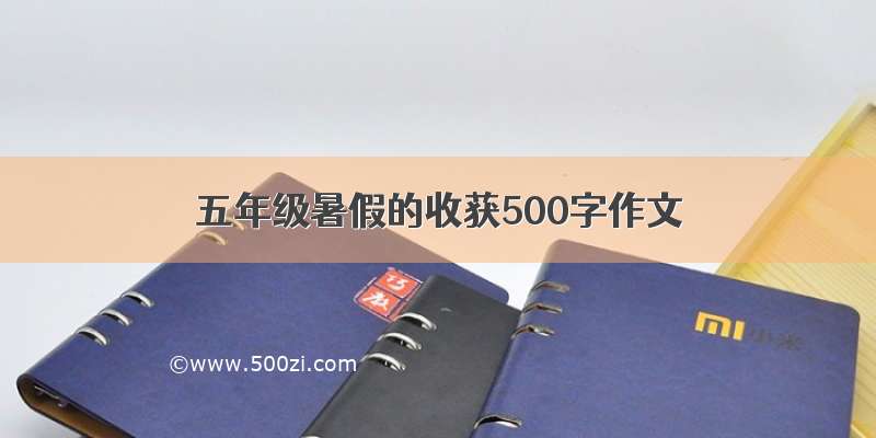 五年级暑假的收获500字作文