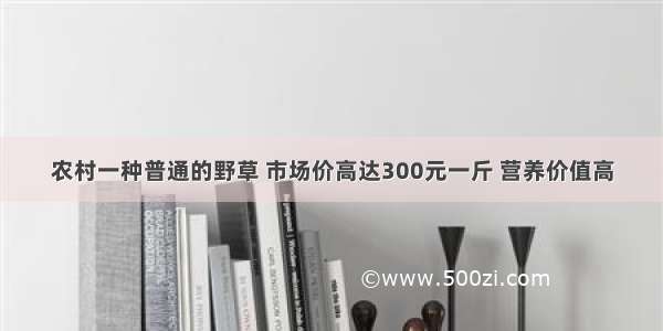 农村一种普通的野草 市场价高达300元一斤 营养价值高