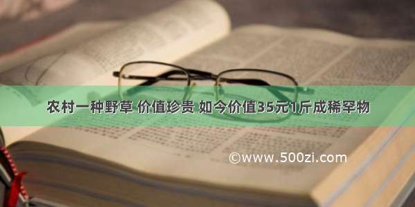 农村一种野草 价值珍贵 如今价值35元1斤成稀罕物