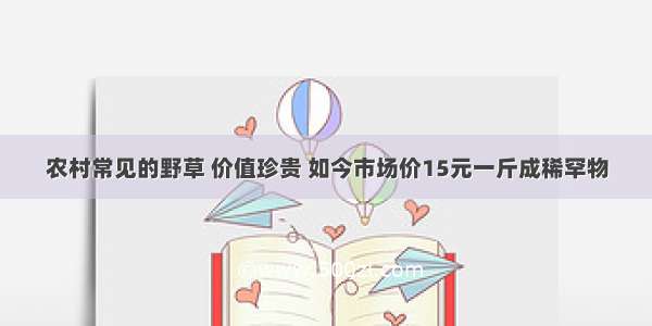 农村常见的野草 价值珍贵 如今市场价15元一斤成稀罕物