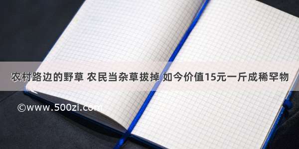 农村路边的野草 农民当杂草拔掉 如今价值15元一斤成稀罕物