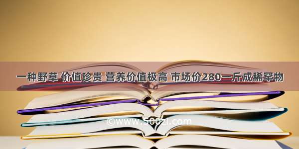 一种野草 价值珍贵 营养价值极高 市场价280一斤成稀罕物