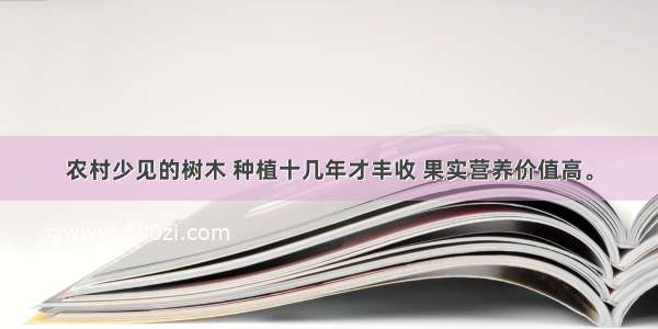 农村少见的树木 种植十几年才丰收 果实营养价值高。