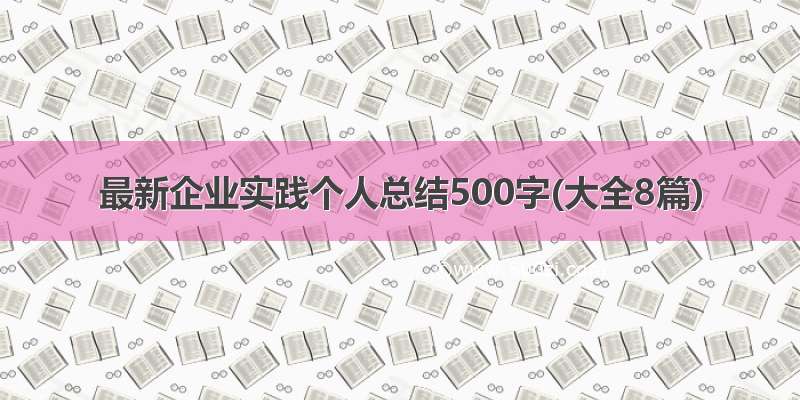 最新企业实践个人总结500字(大全8篇)