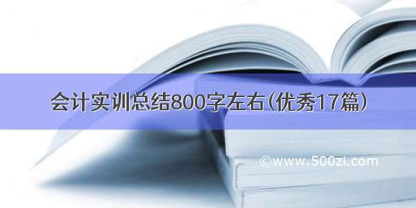 会计实训总结800字左右(优秀17篇)